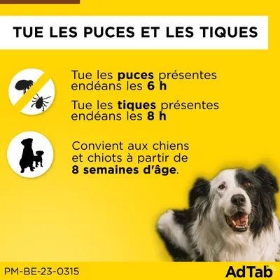 Comprimés à croquer AdTab pour très petit chien (1,3 à 2,5 kg)