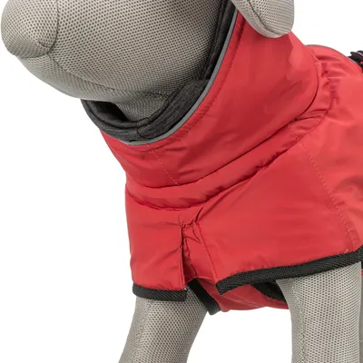 Roter Hundemantel mit schwarzem Rand, getragen von einer grauen Stofffigur. Sichtbare Details: Kragen und Brustbereich des Mantels.