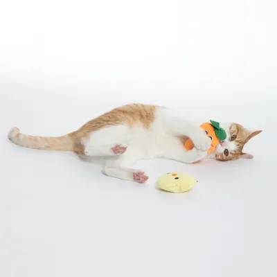 Gato juega con un juguete de peluche naranja en forma de fruta, junto a un juguete de peluche amarillo. Muestra uso de juguetes para gatos.