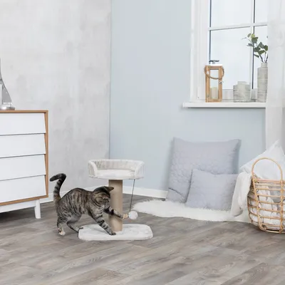 Krabpaal met sisalstam, pluche ligvlak en speelbal. Kat speelt met bal in moderne woonkamer.