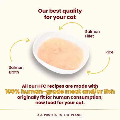 Cat food ingredients shown: salmon fillet, rice and salmon broth. Made with 100% human-grade meat and fish originally fit for human consumption, now food for your cat.