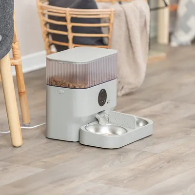 Automatic feeder with transparent container for dry food and two stainless steel bowls, suitable for pets.