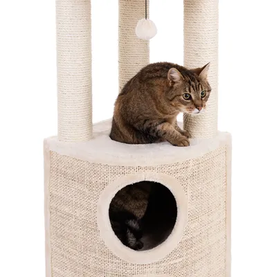 Kratzbaum mit Sisalstämmen, Höhle und Spielball. Katze sitzt oben auf der Plattform, zweite Katze sichtbar in der Höhle.