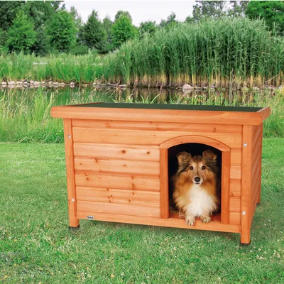 Houten hondenhok met zwart dak, rechthoekig model. Hond zit in de opening van het hok. Merknaam TRIXIE zichtbaar op de onderrand.