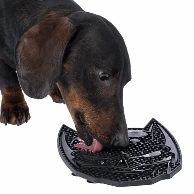 Hund slickar svart fodermatta i kattform med strukturerad yta.
