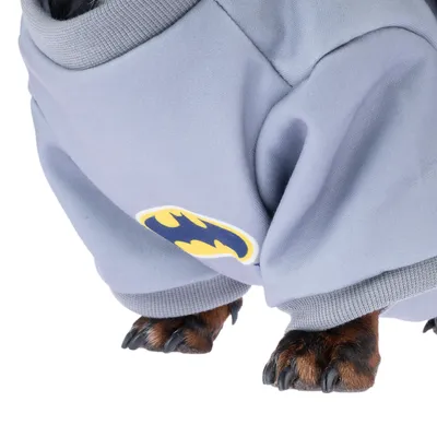 Maglione grigio per cani con logo Batman in giallo e nero, visibile sulle zampe anteriori di un cane.