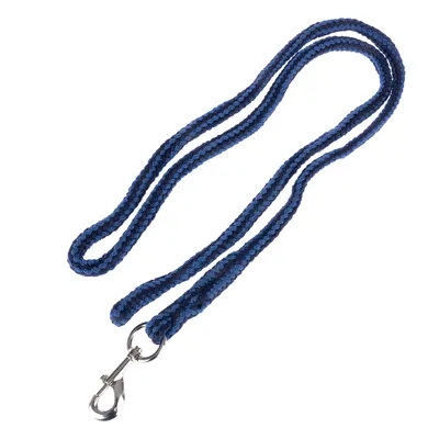 Laisse tressée bleue avec mousqueton métallique argenté, sans marque visible.