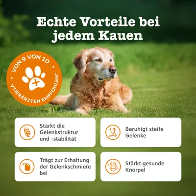 Zesty Paws Senior Hip & Joint Chews Dinde