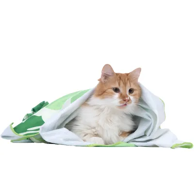 Manta branca e verde com padrão de folhas, parcialmente enrolada num animal.