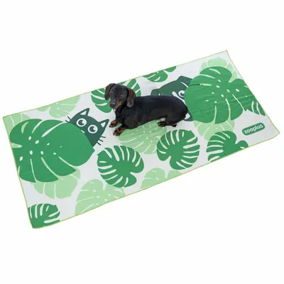 Cão sobre uma manta verde com padrão de folha de Monstera e motivo de gato. Logótipo Zooplus visível no canto.