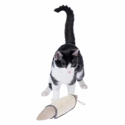 Zwart-witte kat met een beige krabspeeltje van sisal en stof, geschikt om te spelen en te krabben.