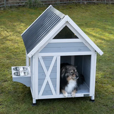 Gråt hundehus med hvid ramme, skråt tag og to integrerede foderskåle i rustfrit stål på siden.