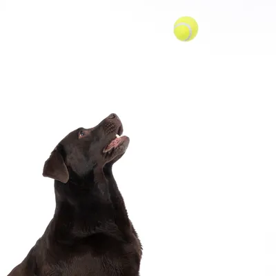 ""