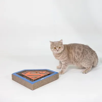 Krabplank van karton in Superman-logo vorm, bruin met blauwe en rode accenten. Kat staat ernaast.