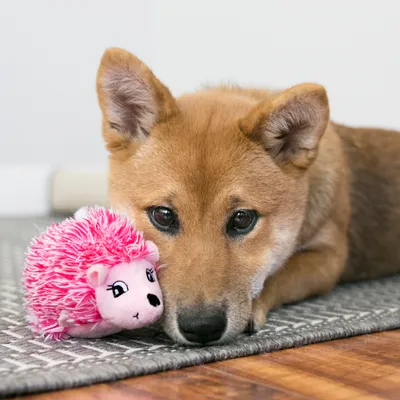Giocattolo per cani rosa con frange su tappeto grigio.