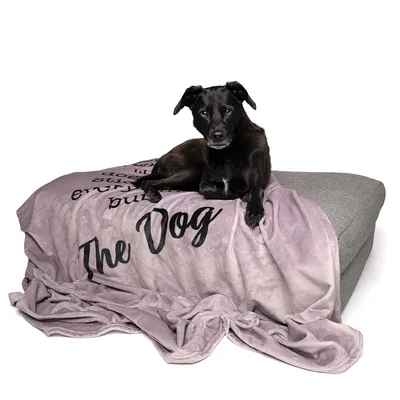 TIAKI Hundedecke „Home“