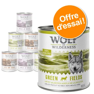 Lot mixte Wolf of Wilderness pour chien