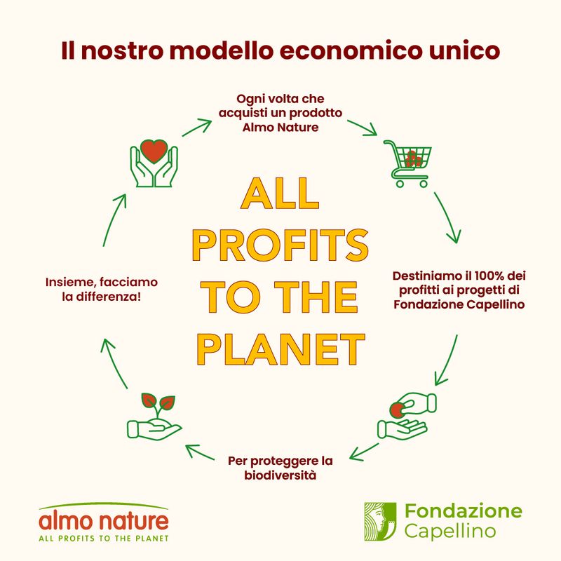 Almo Nature HFC Natural Buste 6 x 55 g Alimento umido per gatti