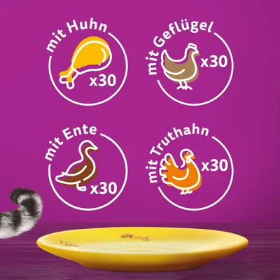 Produktvarianten: mit Huhn x30, mit Geflügel x30, mit Ente x30, mit Truthahn x30. Gelber Teller im Vordergrund.