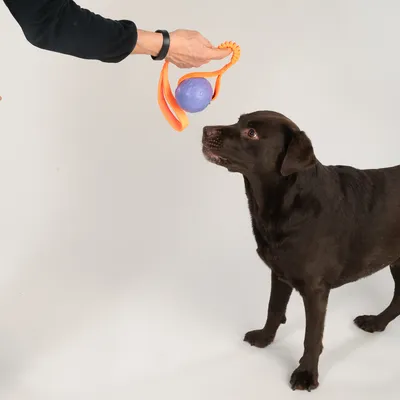 Nomad Tales Spirit Spielball mit Gummizug