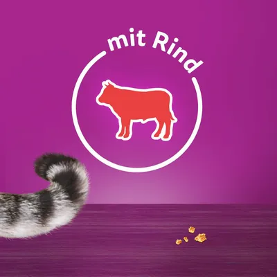 Produktbeschreibung: mit Rind, rotes Rind-Symbol auf violettem Hintergrund. Katzenpfote und Futterstückchen sichtbar.