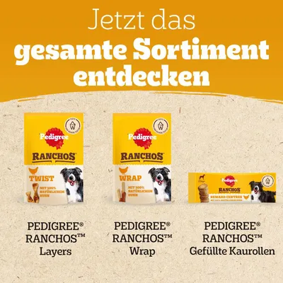 Pedigree Ranchos Sortiment: Layers, Wrap und Gefüllte Kaurollen mit 100% natürlichem Huhn. Jetzt das gesamte Sortiment entdecken.