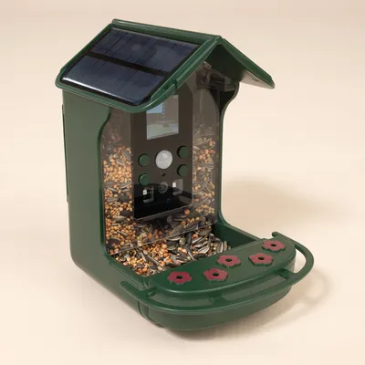TIAKI Vogelfutterspender mit Kamera