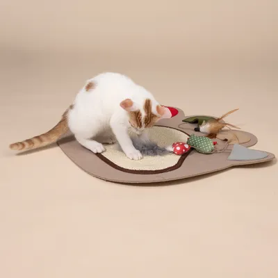 TIAKI Schnüffelmatte Pfote für Katzen