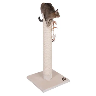 Árbol rascador con base beige, poste de sisal y juguete colgante. Gato sentado en la parte superior del poste.