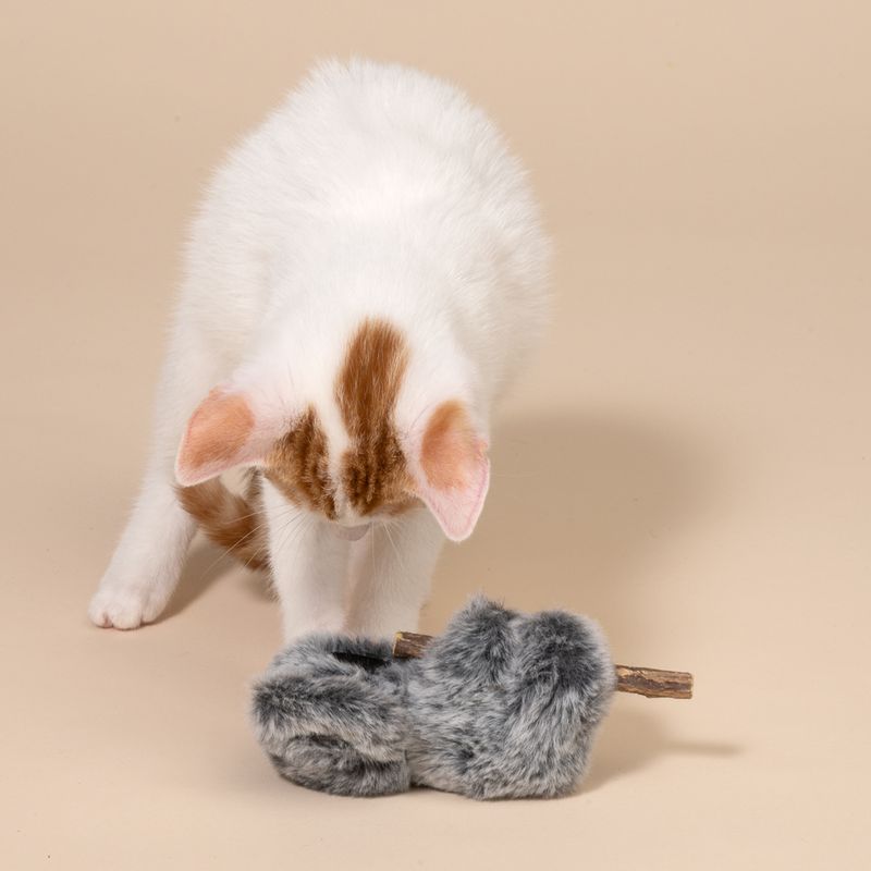TIAKI Katzenspielzeug Koala mit Silvervine-Stöckchen