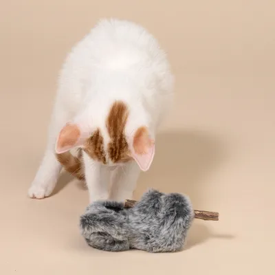 TIAKI igrača za mačke koala s palčko