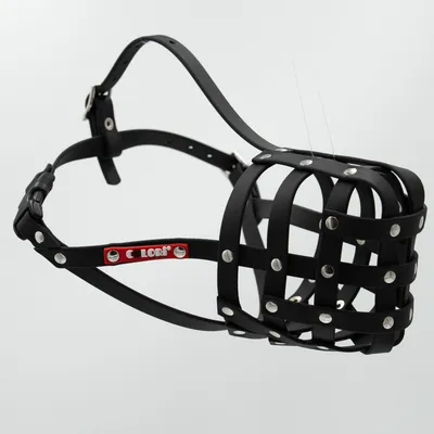 COLORI® 2.0 Muselière Chien de berger M, noir