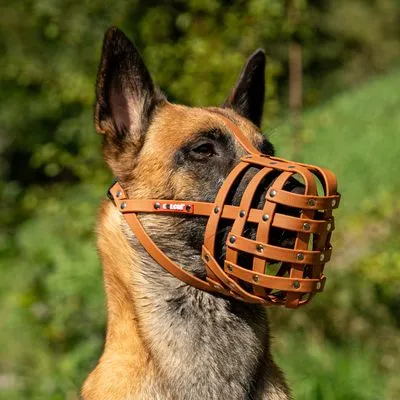 COLORI® 2.0 Herder muilkorf L, lichtbruin