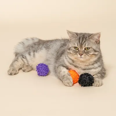 Gatto grigio con tre palline da gioco colorate in viola, arancione e nero su sfondo beige.