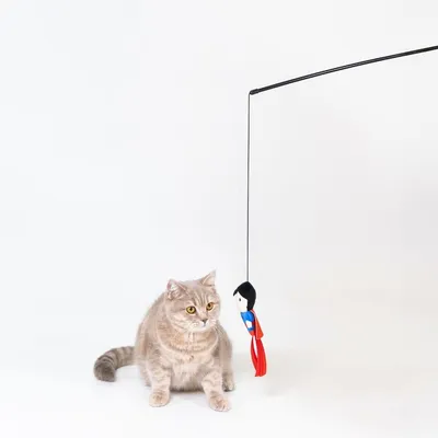 Katzenspielzeug an einer Angel mit Figur in blau-rotem Design. Beige Katze sitzt daneben und beobachtet das Spielzeug.