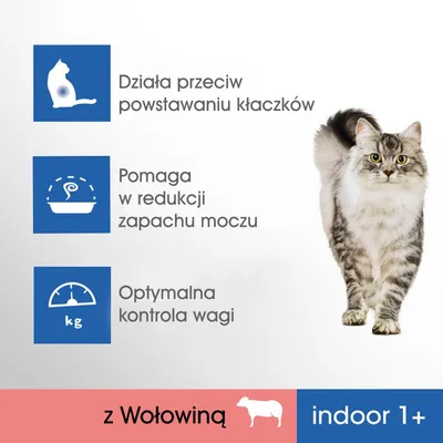 Działa przeciw powstawaniu kłaczków, pomaga w redukcji zapachu moczu, optymalna kontrola wagi, z wołowiną, indoor 1+