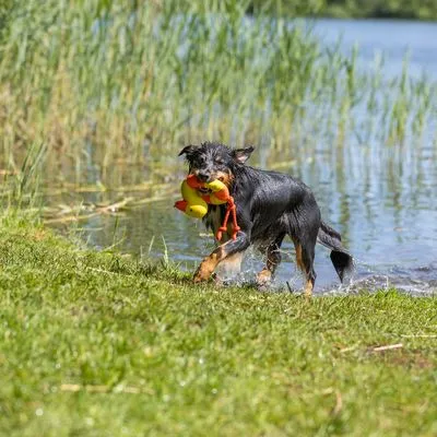 Trixie Aqua Toy Eend aan Touw