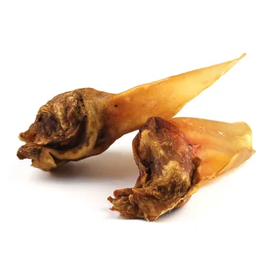 DIBO Dried Cows' Ears with Pinna - dog snacks - 5 Snacks DIBO Dried Cows' Ears with Pinna - dog snacks - 5 Snacks