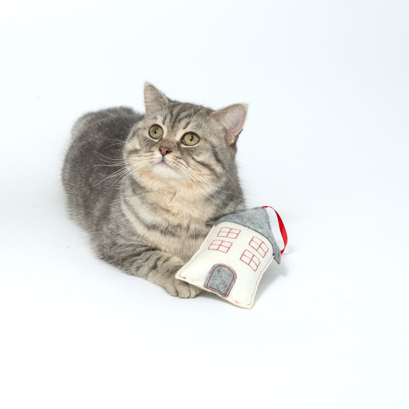 Graue Katze liegt neben einem Stoffspielzeug in Form eines Hauses mit roten und grauen Details.
