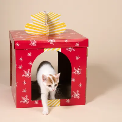TIAKI Red Gift Box Scratching Furniture
