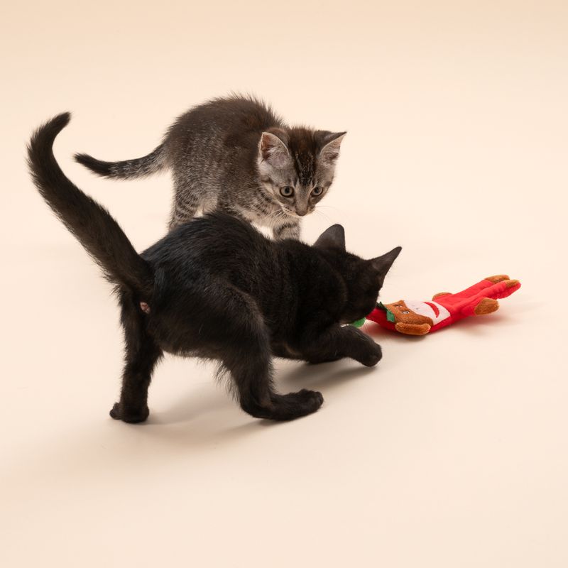 TIAKI Katzenspielzeug Weihnachtsäffchen