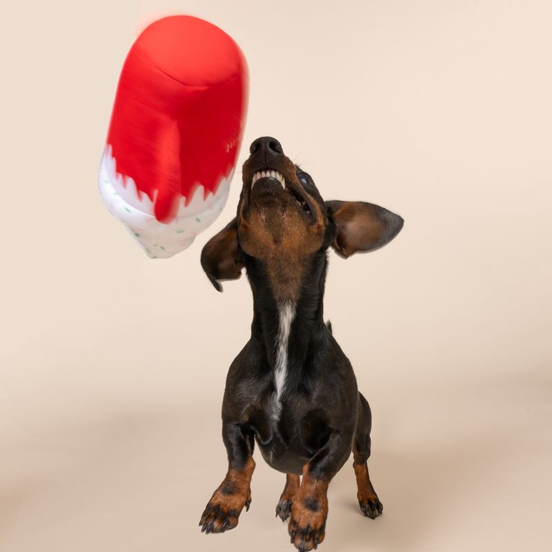 TIAKI Hundespielzeug "Puppermint Mocha"