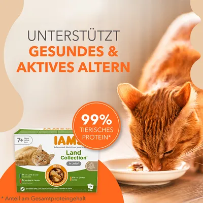 Texte en allemand : 'Unterstützt gesundes & aktives Altern', '99% tierisches Protein'. Boîte IAMS Land Collection pour chats 7+ ans, 12x85g. Chat roux mangeant dans une assiette.