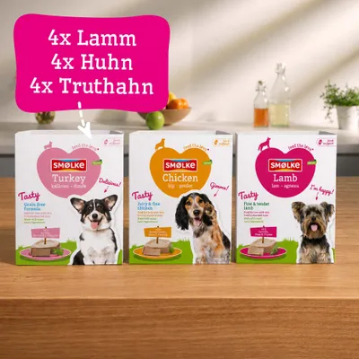 Smølke Steamed Meals 12 x 395 g - Favoriten-Mix (3 Sorten) Smølke Steamed Meals 12 x 395 g - Favoriten-Mix (3 Sorten)