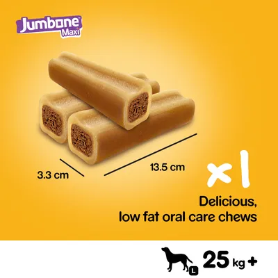 One low fat oral care chew, 13.5 cm by 3.3 cm, for dogs over 25 kg. Described as delicious and suitable for large breeds.