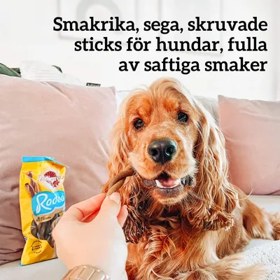 Text: Smakrika, sega, skruvade sticks för hundar, fulla av saftiga smaker. Förpackning Pedigree Rodeo och en hand som ger en stick till en hund syns.