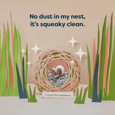 Small animal in a nest with bedding, surrounded by text stating 'No dust in my nest, it’s squeaky clean.' and a sign reading 'Welcome'.