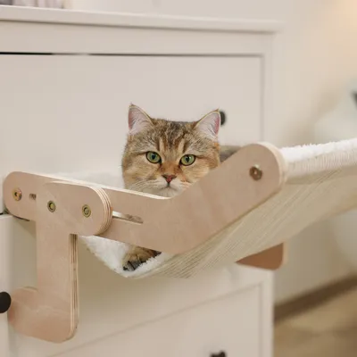Wooden cat hammock mounted on a chest of drawers with a cat lying on it. Visible: wooden frame and fabric lying surface.