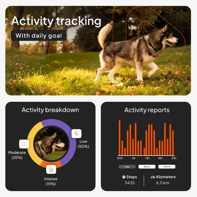 Weenect Pet GPS Tracker XT för hundar