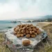 Purizon Original Poisson - sans céréales
